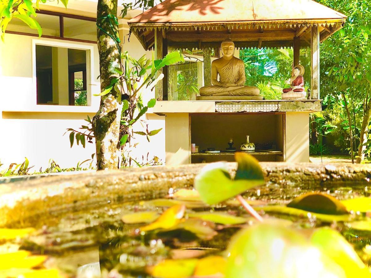 Paradise Garden ベールワラ エクステリア 写真